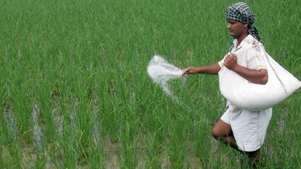 'ಭಾರತ್‌ ಬ್ರಾಂಡ್‌' ಹೆಸರಿನಡಿ ಗೊಬ್ಬರ ಮಾರಾಟಕ್ಕೆ ಕೇಂದ್ರ ಸೂಚನೆ