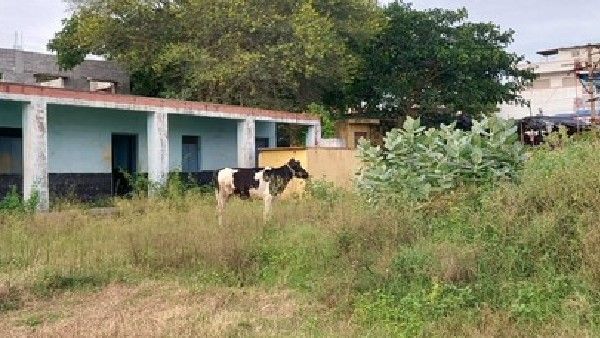 ಮಂಡ್ಯ: ಬೀಳುವ ಹಂತದಲ್ಲಿರುವ ಶಾಲಾ ಕೊಠಡಿಗಳಲ್ಲಿ ಪಾಠ, ವಿದ್ಯಾರ್ಥಿನಿಯರಿಗೆ ಆತಂಕ