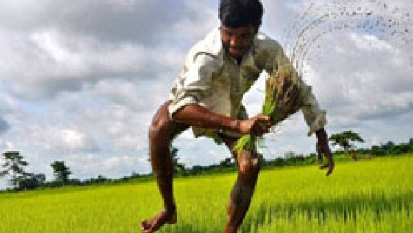 ಕುಗ್ಗಿದ ಬೇಡಿಕೆ: ಭಾರತೀಯ ಅಕ್ಕಿ ರಫ್ತು ದರದಲ್ಲಿ ಇಳಿಕೆ