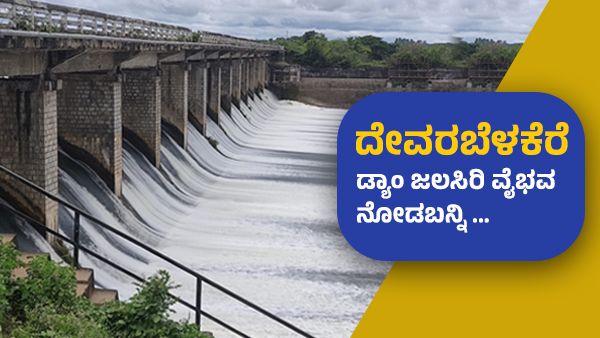 ದಾವಣಗೆರೆ: ದೇವರಬೆಳಕೆರೆ ಡ್ಯಾಂನಿಂದ ಹೊರಬರುತ್ತಿರುವ ಜಲಸಿರಿ ವೈಭವ ನೋಡಬನ್ನಿರಿ 