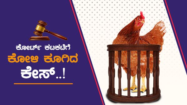 ದಿನಕ್ಕೆ 200 ಬಾರಿ ಕೂಗುವ ಕೋಳಿ ಮತ್ತು ಮಾಲೀಕನ ವಿರುದ್ಧ ಕೇಸ್!