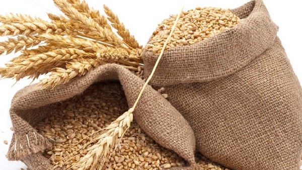 ಭಾರತದಲ್ಲೇ ಸಾಕಷ್ಟು ಗೋಧಿ ದಾಸ್ತಾನಿದೆ, ಆಮದು ಅಗತ್ಯವಿಲ್ಲ