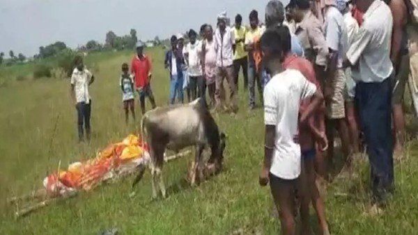 ಏಳಪ್ಪಾ ಯಜಮಾನ: ಸತ್ತವನ ಮುಂದೆ ಪುಟ್ಟ ಕರುವಿನ ಮೂಕವೇದನೆ