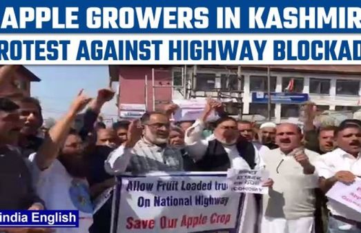 ಜಮ್ಮು ಮತ್ತು ಕಾಶ್ಮೀರದಲ್ಲಿ ಭುಗಿಲೆದ್ದ ಪ್ರತಿಭಟನೆ, ಸೇಬು ಮಾರಾಟಕ್ಕೆ ಸಂಕಷ್ಟ