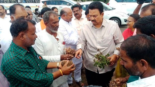 ಬಾಗಲಕೋಟೆಯಲ್ಲಿ ಮಳೆ ಹಾನಿಗೊಳಗಾದವರಿಗೆ ಶೀಘ್ರವೇ ಪರಿಹಾರ; ಸಚಿವ ಸಿ.ಸಿ.ಪಾಟೀಲ್‌