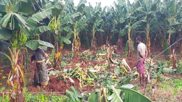 ಚಾಮರಾಜನಗರದಲ್ಲಿ ಮಳೆ ಆರ್ಭಟಕ್ಕೆ 47 ಗ್ರಾಮಗಳು ತತ್ತರ; ಆದರೂ 19 ಕೆರೆಗಳು ಖಾಲಿ-ಖಾಲಿ!