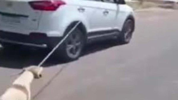 ಜೋಧ್‌ಪುರದಲ್ಲಿ ನಾಯಿಯನ್ನು ಕಾರಿಗೆ ಕಟ್ಟಿ ಎಳೆದೊಯ್ದ ವೈದ್ಯ: ವಿರುದ್ಧ ಪ್ರಕರಣ ದಾಖಲು