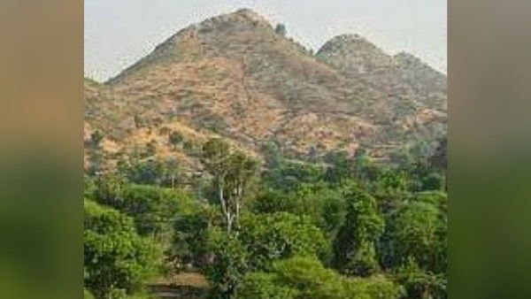 10,000 ಎಕರೆಯ ವಿಶ್ವದ ಬೃಹತ್‌ ಸಫಾರಿ ಪಾರ್ಕ್‌ ಭಾರತದಲ್ಲಿ ಎಲ್ಲಿದೆ ಗೊತ್ತಾ?