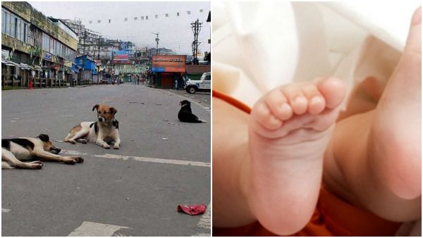 ಆಸ್ಪತ್ರೆ ಆವರಣದಲ್ಲೇ ನವಜಾತ ಹೆಣ್ಣು ಶಿಶುವನ್ನು ಕಚ್ಚಿಕೊಂಡು ಓಡಾಡಿದ ನಾಯಿಗಳು!