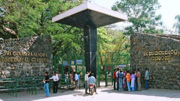 ಮೈಸೂರು ದಸರಾ ಮಹೋತ್ಸವ 2022: ಅಂತಾರಾಜ್ಯ ವಾಹನಗಳಿಗೆ ತೆರಿಗೆ ವಿನಾಯಿತಿ ನೀಡಿದ ಸರಕಾರ