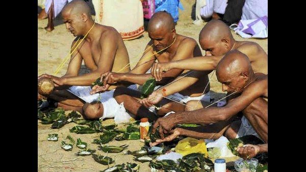 ಪಿತೃ ಪಕ್ಷ 2022: ಈ ಮರಗಳ ಪೂಜೆಯಿಂದ ಸಿಗುತ್ತೆ ಪೂರ್ವಜರ ಆಶೀರ್ವಾದ