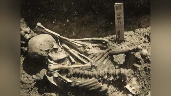 ವಿಡಿಯೋ: ತಲೆಬುರುಡೆ ಬಳಿಕ 1.8 ಮಿಲಿಯನ್ ವರ್ಷ ಹಳೆಯ ಮಾನವನ ಹಲ್ಲು ಪತ್ತೆ