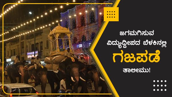 ಜಗಮಗಿಸುವ ವಿದ್ಯುದ್ದೀಪದ ಬೆಳಕಿನಲ್ಲಿ ಗಜಪಡೆ ತಾಲೀಮು!