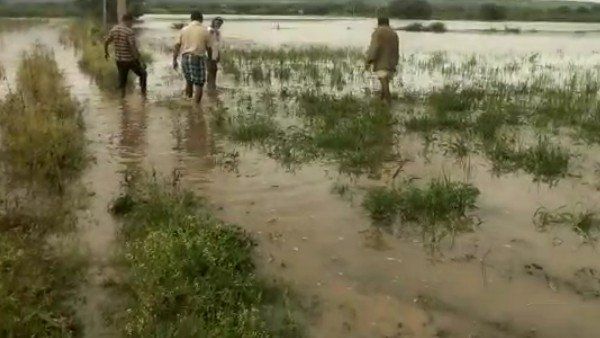 ಬಾಗಲಕೋಟೆ ಜಿಲ್ಲೆಯಲ್ಲಿ ಮಳೆ ಆರ್ಭಟ; ಗಗನಕ್ಕೇರಿದ ತರಕಾರಿ ಬೆಲೆ