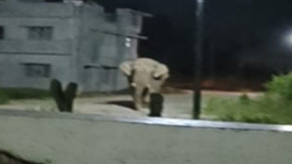 ಹಾಸನ: ಸಕಲೇಶಪುರದಲ್ಲಿ ಮುಂದುವರೆದ ಕಾಡಾನೆ ಆರ್ಭಟ; ಜನರಿಗೆ ಆತಂಕ