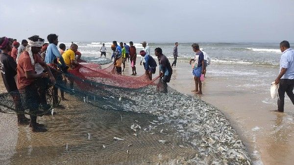 ಮಂಗಳೂರಿನಲ್ಲಿ ಸಣ್ಣ ಬಲೆಗೆ ಬಿದ್ದ 400 ಕೆ.ಜಿ ಮೀನುಗಳ ರಾಶಿ
