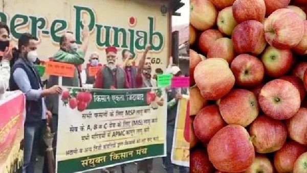 ಸೇಬು ರೈತರ ಪ್ರತಿಭಟನೆ: ಹಿಮಾಚಲ ಚುನಾವಣೆ ಮೇಲೆ ಪರಿಣಾಮ?