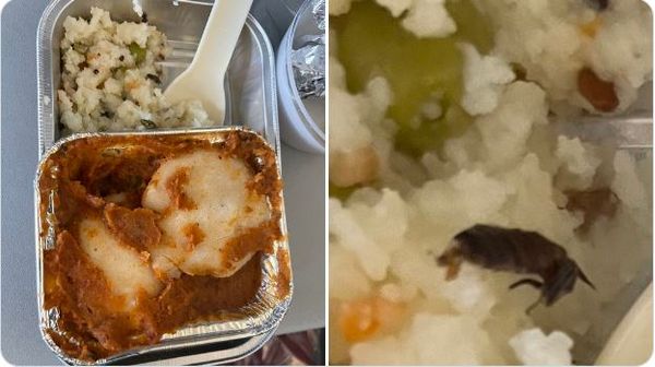 ಏರ್ ವಿಸ್ತಾರ ಊಟದಲ್ಲಿ ಜಿರಳೆ; ವಿಮಾನಯಾನ ಸಂಸ್ಥೆಯ ಉತ್ತರ ಹೀಗಿದೆ