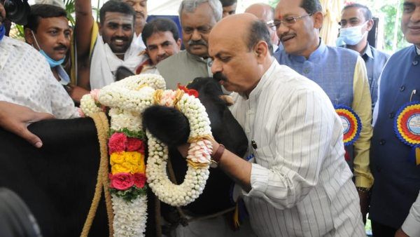 ದೀಪಾವಳಿ 2022; ಎಲ್ಲಾ ದೇವಾಲಯಗಳಲ್ಲೂ ಗೋಪೂಜೆಗೆ ರಾಜ್ಯ ಸರ್ಕಾರದ ಆದೇಶ