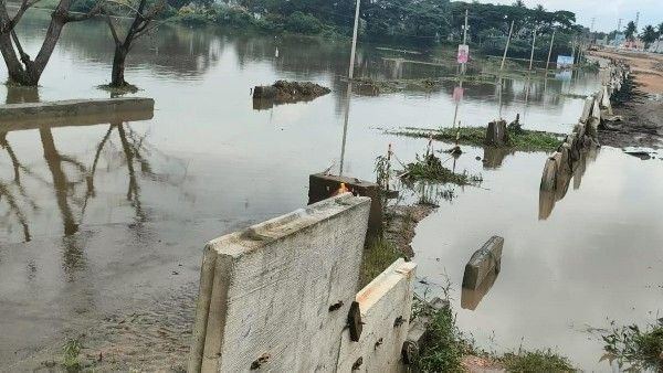 ರಕ್ಕಸ ಮಳೆಗೆ ಸಕ್ಕರೆ ಜಿಲ್ಲೆ ತತ್ತರ; ತುಂಬಿ ಹರಿದ ಕೆರೆ-ಕಟ್ಟೆ, ಹತ್ತಾರು ಎಕರೆ ಜಲಾವೃತ