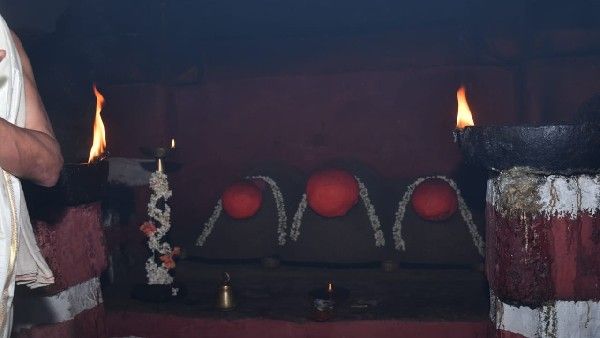 ಹಾಸನಾಂಬ ದರ್ಶನಕ್ಕೆ ಕಿಕ್ಕಿರಿದು ಬಂದ ಭಕ್ತಸಾಗರ; ದರ್ಶನಕ್ಕೆ ವ್ಯವಸ್ಥೆ ಹೇಗಿದೆ?