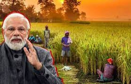 ಪಿಎಂ ಕಿಸಾನ್: 12ನೇ ಕಂತಿನ ಪಟ್ಟಿಯಲ್ಲಿ ನಿಮ್ಮ ಹೆಸರು ಹೇಗೆ ಪರಿಶೀಲಿಸಬೇಕು ತಿಳಿಯಿರಿ