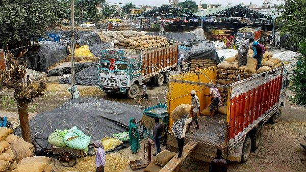 ಭಾರತದ ಗೋಧಿ ದಾಸ್ತಾನು 5 ವರ್ಷಗಳ ಕನಿಷ್ಠ ಮಟ್ಟಕ್ಕೆ ಕುಸಿತ: ಸರ್ಕಾರಕ್ಕೆ ಆತಂಕ?
