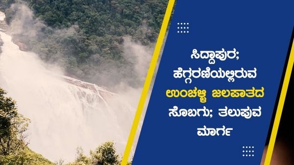 ಸಿದ್ದಾಪುರ; ಹೆಗ್ಗರಣಿಯಲ್ಲಿರುವ ಉಂಚಳ್ಳಿ ಜಲಪಾತದ ಸೊಬಗು; ತಲುಪುವ ಮಾರ್ಗ