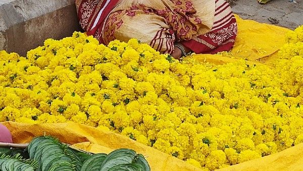 ದಾವಣಗೆರೆಯಲ್ಲಿ ದುಪ್ಪಟ್ಟಾಯ್ತು ಹೂ ದರ: ದಸರಾಕ್ಕಿಂತ ದೀಪಾವಳಿಗೆ ಹಣ್ಣು ಅಗ್ಗ