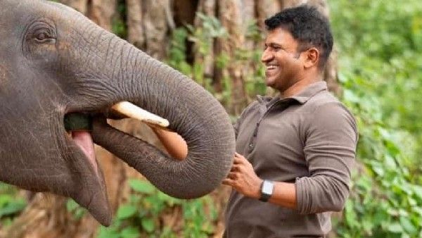 ಎಲ್ಲೆಲ್ಲೂ ಗಂಧದ ಗುಡಿ ಸಂಭ್ರಮ: ಚಿತ್ರಮಂದಿರದಲ್ಲಿ ಚಿಕನ್ ಬಿರಿಯಾನಿ ವಿತರಣೆ