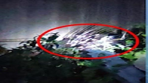 ಮಂಡ್ಯ ನಗರದೊಳಗೆ ಮುಳ್ಳು ಹಂದಿಯ ಹಿಂಡು ಪತ್ತೆ: ಆತಂಕದಲ್ಲಿ ಜನತೆ