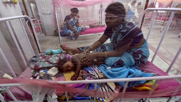 ಭಾರತದಿಂದ 60 ಲಕ್ಷ ಸೊಳ್ಳೆ ಪರದೆ ಖರೀದಿಗೆ ಮುಂದಾದ ಪಾಕಿಸ್ತಾನ; ಏನಿದರ ರಹಸ್ಯ?