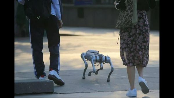 ಚೀನಾದಲ್ಲಿ ಫೇಮಸ್ ಆದ ವಾಕಿಂಗ್ ರೋಬೋ ನಾಯಿಗಳು: ಬೆಲೆ ಎಷ್ಟು ಗೊತ್ತಾ?