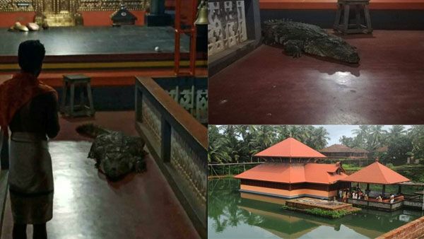 ಕೇರಳ ಅನಂತ ಪದ್ಮನಾಭಸ್ವಾಮಿ ದೇಗುಲದಲ್ಲಿನ 'ದೇವರ ಮೊಸಳೆ' ಮರಣ