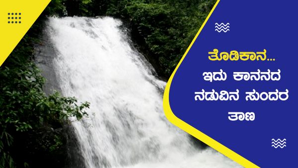 'ತೊಡಿಕಾನ'... ಇದು ಕಾನನದ ನಡುವಿನ ಸುಂದರ ತಾಣ!; ತೆರಳುವುದು ಹೇಗೆ?
