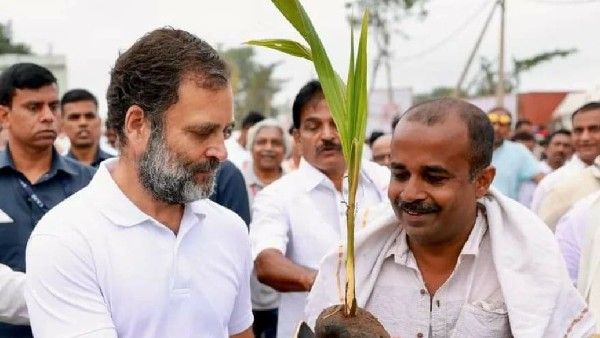 ತೆಂಗು ಬೆಳೆಗಾರರೊಂದಿಗೆ ಸಂವಾದ ನಡೆಸಲಿರುವ ರಾಹುಲ್ ಗಾಂಧಿ