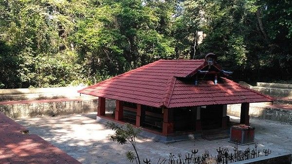 ಕೊಡಗಿನ ಹಾತೂರಿನಲ್ಲಿ ನೆಲೆ ನಿಂತಿರುವ ರೈತರ ಬೆಳೆ ಕಾಯುವ ವನಭದ್ರಕಾಳೇಶ್ವರಿ