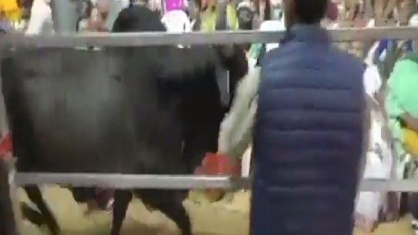 ಗುಜರಾತ್‌ನಲ್ಲಿ ಕಾಂಗ್ರೆಸ್ ರ‍್ಯಾಲಿಗೆ ನುಗ್ಗಿದ ಗೂಳಿ: ಇದು ಬಿಜೆಪಿ ಪಿತೂರಿ ಎಂದ ಅಶೋಕ್ ಗೆಹಲೋಟ್‌