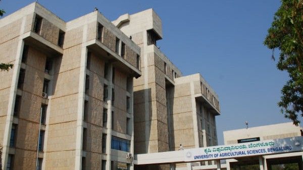 ಬೆಂಗಳೂರು ಕೃಷಿ ವಿವಿ: ಮಣ್ಣಿಲ್ಲದೇ ಹೈಡ್ರೋಪೋನಿಕ್ಸ್ ವಿಧಾನದಿಂದ ಬೆಳೆ