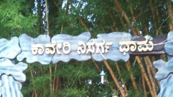Breaking; ಪ್ರವಾಸಿಗರಿಗೆ ಕಾವೇರಿ ನಿಸರ್ಗಧಾಮ ಬಂದ್ 