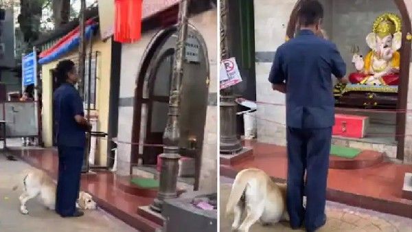 ವಿಡಿಯೋ: ಗಣಪತಿ ದೇವಸ್ಥಾನಕ್ಕೆ ಹೋಗಿ ಪ್ರಾರ್ಥನೆ ಸಲ್ಲಿಸುವ ನಾಯಿ