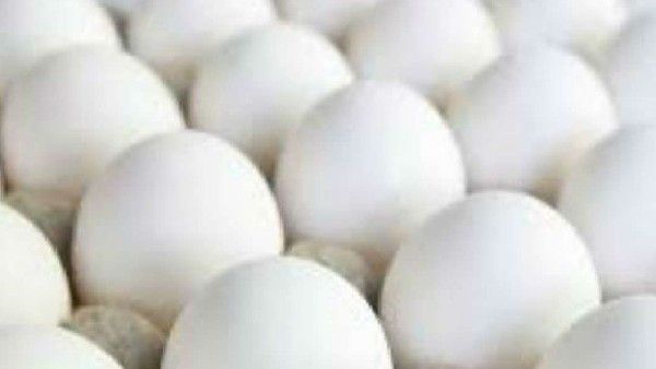 ಕತಾರ್‌ನಲ್ಲಿ ತಮಿಳುನಾಡಿನ ನಾಮಕ್ಕಲ್‌ ಮೊಟ್ಟೆಗಳಿಗೆ ಹೆಚ್ಚಿದ ಬೇಡಿಕೆ