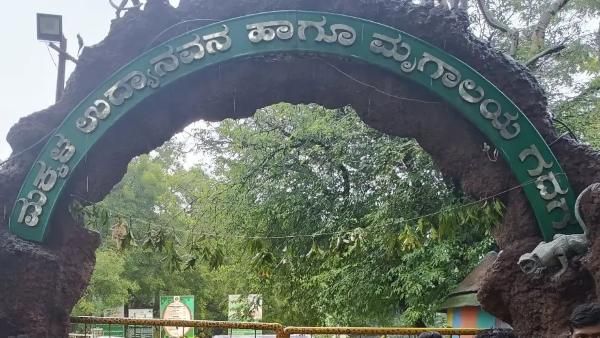 ಗದಗ ಮೃಗಾಲಯದಲ್ಲಿ ಕೆಲಸ ಖಾಲಿ ಇದೆ, ನ.29ಕ್ಕೆ ನೇರ ಸಂದರ್ಶನ
