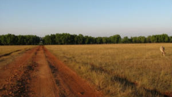 ಹೆಸರಘಟ್ಟ ಮೀಸಲು ಪ್ರದೇಶವಾಗಬೇಕು ಎಂದ ಕರ್ನಾಟಕ ವನ್ಯಜೀವಿ ಮಂಡಳಿ