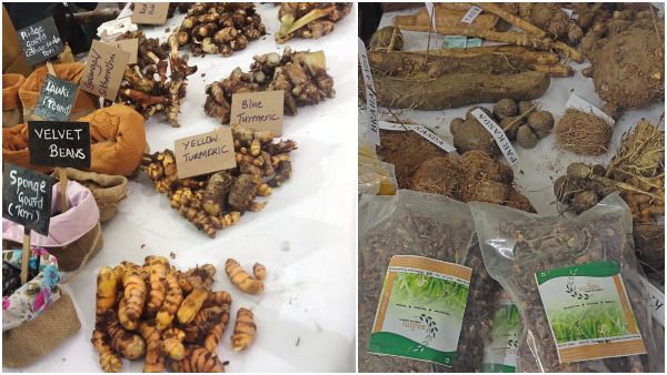 ಸಾವಯವ ಕೃಷಿ ಮಹತ್ವ ಸಾರಿದ ಕಿಸಾನ್ ಸ್ವರಾಜ್ ಸಮ್ಮೇಳನ