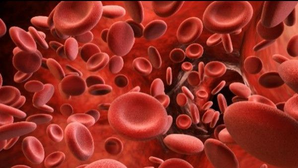 ಜಗತ್ತಿನ ದುಬಾರಿ ಔಷಧಿಗೆ ₹28.58 ಕೋಟಿ: ಯಾವ ರೋಗಕ್ಕೆ ಈ ಹೆಮ್ಜೆನಿಕ್ಸ್ ಬಳಕೆ?