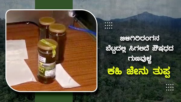 ಯಳಂದೂರು: ಬಿಳಿಗಿರಿರಂಗನ ಬೆಟ್ಟದಲ್ಲಿ ಸಿಗಲಿದೆ ಔಷಧದ ಗುಣವುಳ್ಳ ಕಹಿ ಜೇನು ತುಪ್ಪ