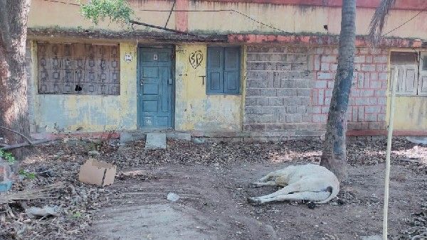 ರಾಯಚೂರು ಜಿಲ್ಲೆಯಲ್ಲಿ ಚರ್ಮಗಂಟು ರೋಗ, ಜಾನುವಾರುಗಳ ಸಾವಿನ ಸಂಖ್ಯೆ ಹೆಚ್ಚಳ