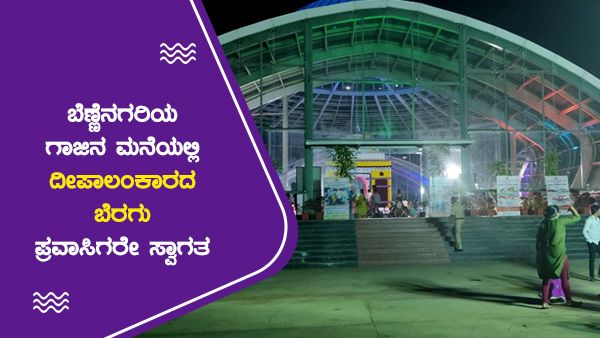 ದಾವಣಗೆರೆಯ ಗಾಜಿನ ಮನೆಯಲ್ಲಿ ಪುಷ್ಪೋತ್ಸವದ ಸೊಬಗು; ವಿದ್ಯುತ್ ದೀಪಾಲಂಕಾರದ ಬೆರಗು
