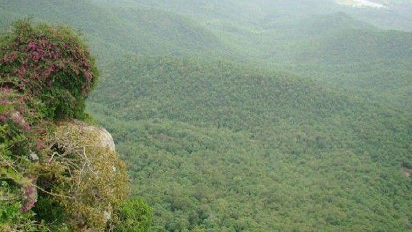 ಕರ್ನಾಟಕದ ಬಿಆರ್‌ಟಿ ಹುಲಿ ಸಂರಕ್ಷಿತ ಪ್ರದೇಶದಲ್ಲಿ 9 ಅಕ್ರಮ ರೆಸಾರ್ಟ್‌ಗಳ ಪತ್ತೆ: ಎನ್‌ಟಿಸಿಎನಿಂದ ಕ್ರಮಕ್ಕೆ ಸೂಚನೆ